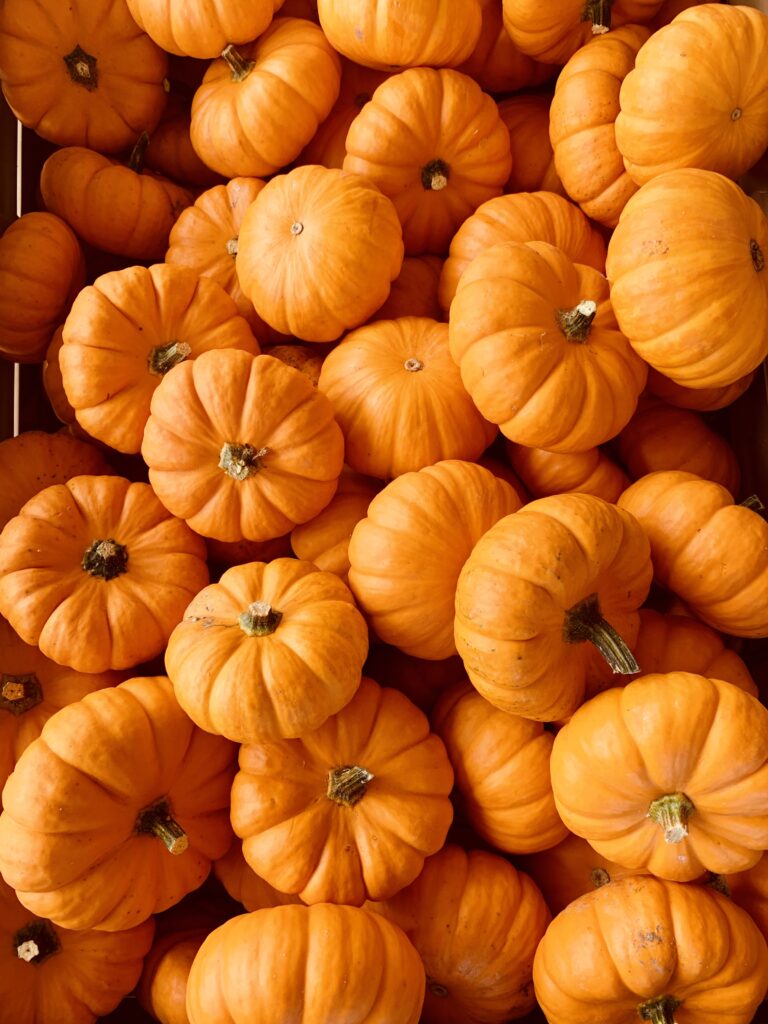 How To Care For Your Halloween Pumpkin